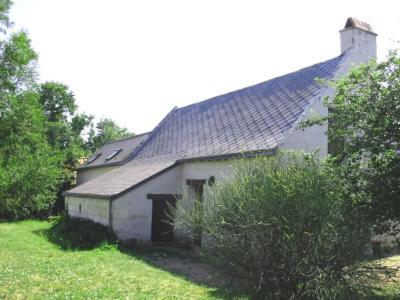 La Maison Tournesol - 3 Bedroom House With Large Garden Near Saumur Saint-Martin-de-la-Place Ngoại thất bức ảnh